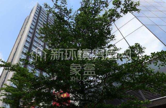 敏捷伊顿公馆 敏捷伊顿公馆室内图2