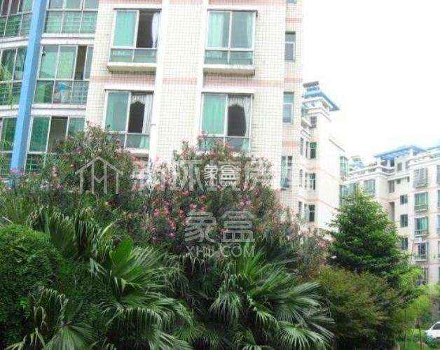 中房东方嘉园 中房东方嘉园室内图2