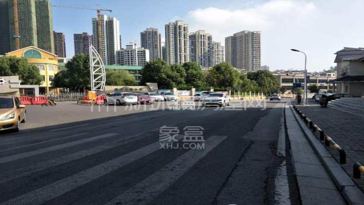 金星景园 金星景园室内图2