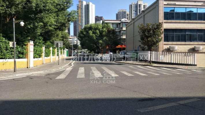 金星景园 金星景园室内图2