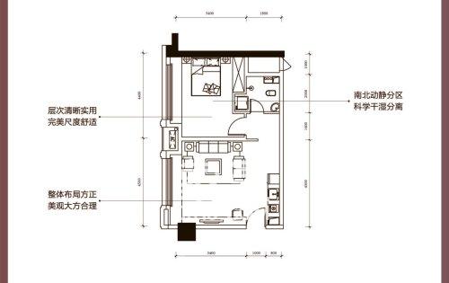 中云公寓户型图