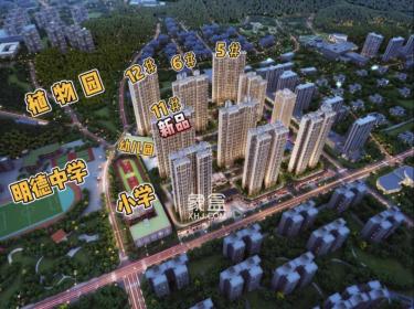 长房明宸府