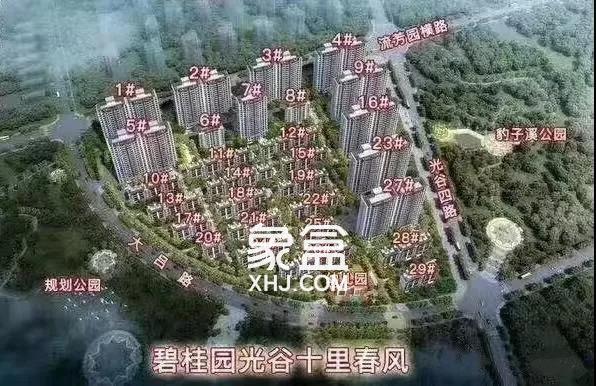 【热销】10月15日碧桂园光谷十里春风16栋装修房已开盘
