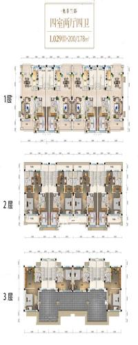 碧桂园天玺湾户型图