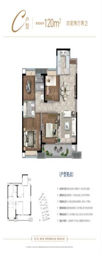 远洋红星天铂户型图