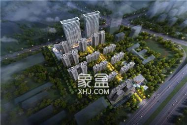 金科景朝集美星宸