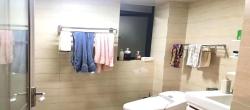 梓湖东城  1室1厅1卫   900.00元/月
