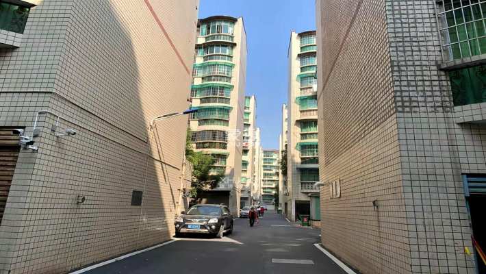 市委家属南院 市委家属南院室内图2