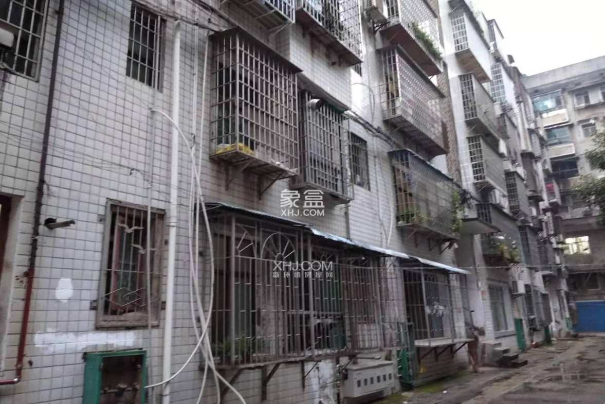 金信花园 4室2厅1卫 1050.0元/月 金信花园 4室2厅1卫 1050.0元/月小区图