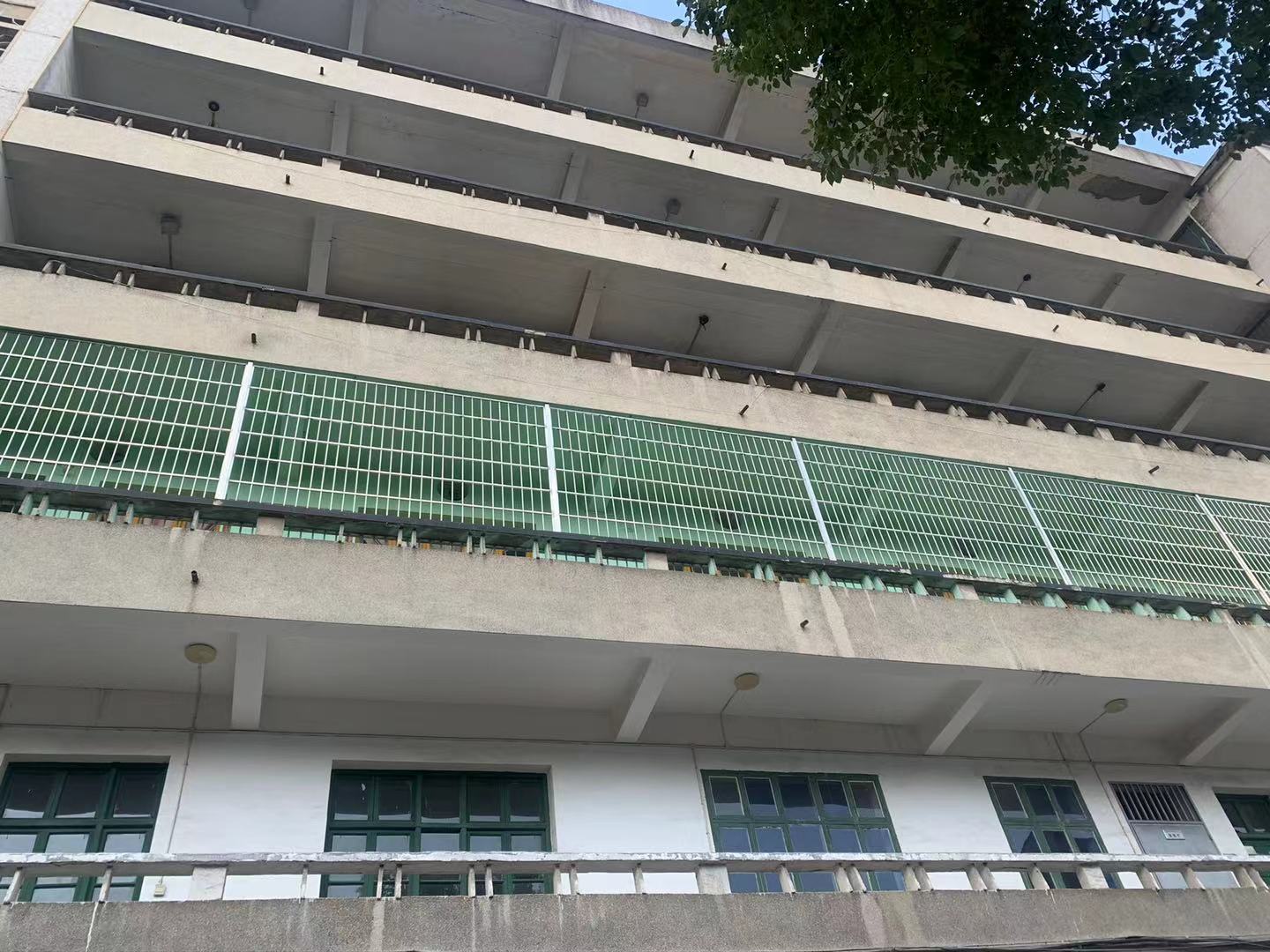栗塘村  20室1厅1卫   5000.00元/月小区图