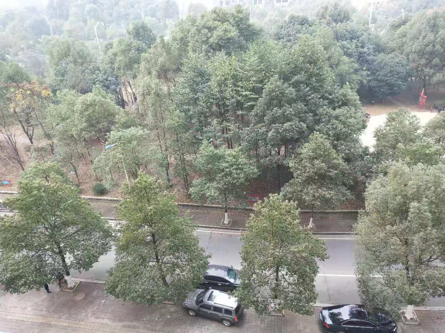 鹏利广场  1室1厅1卫   39.80万阳台