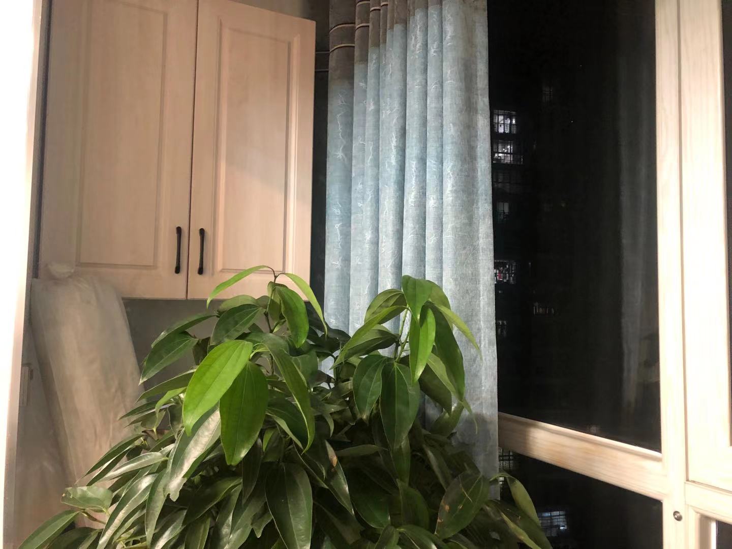 香格里拉 1室1厅1卫 34.8万 香格里拉 1室1厅1卫 34.8万客厅