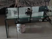 天顺楼 2室2厅1卫 1400.0元/月 天顺楼 2室2厅1卫 1400.0元/月室内图