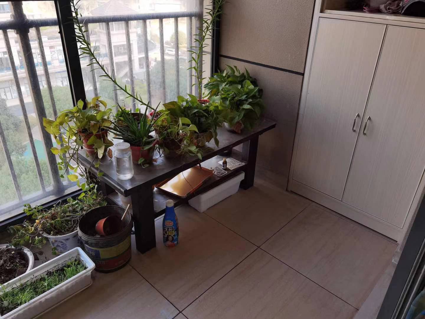 碧桂园 2室2厅2卫 1800.0元/月 碧桂园 2室2厅2卫 1800.0元/月室内图