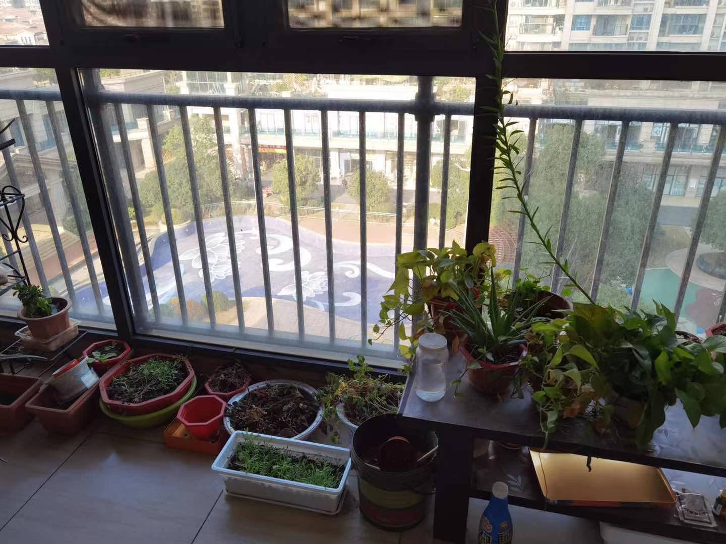 碧桂园 2室2厅2卫 1800.0元/月 碧桂园 2室2厅2卫 1800.0元/月室内图