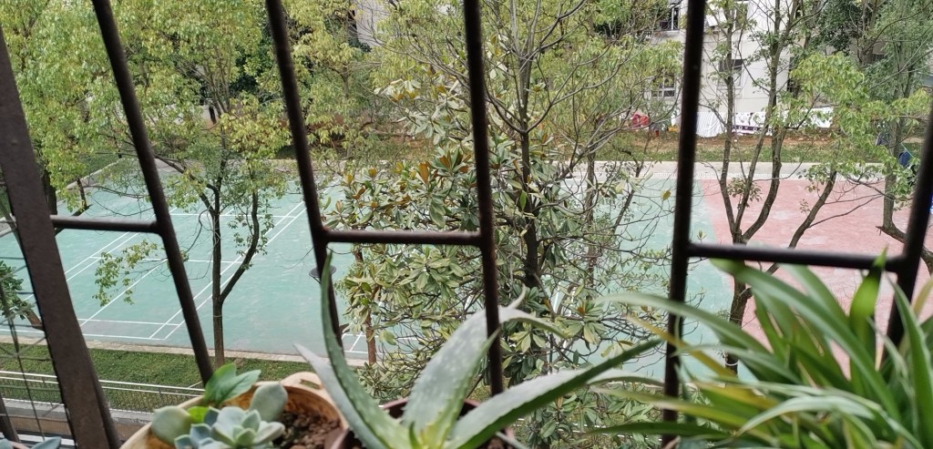 橡胶院 2室2厅1卫 1000.0元/月 橡胶院 2室2厅1卫 1000.0元/月户型图