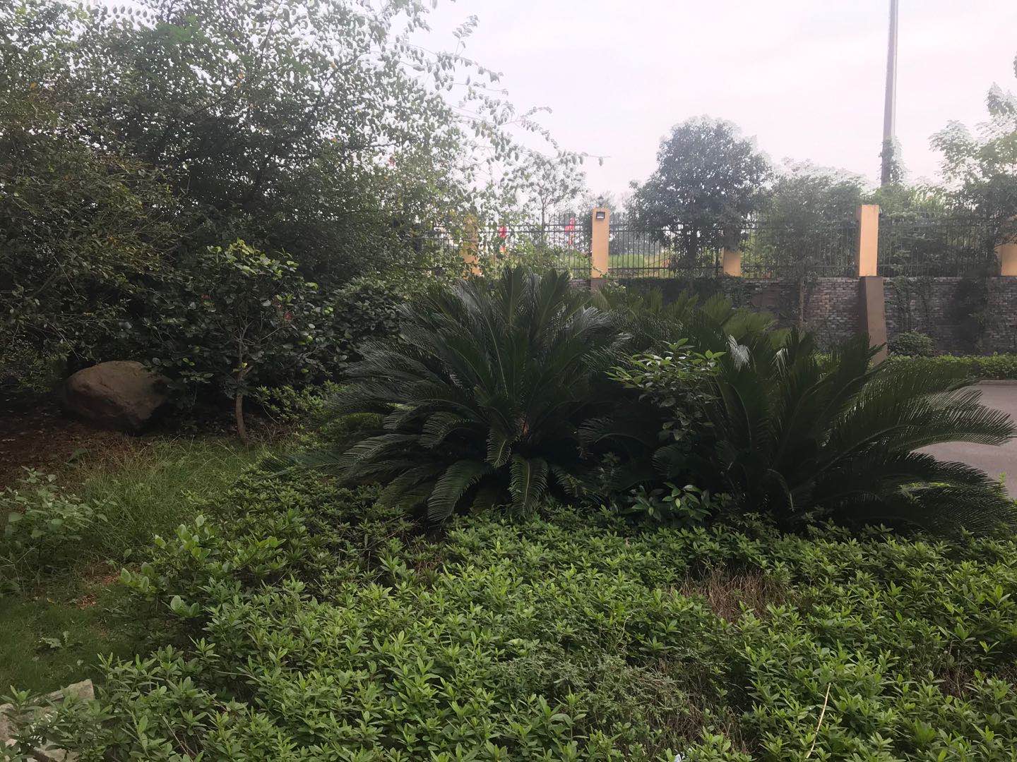 桥南湘运宿舍 2室2厅1卫 27.8万 桥南湘运宿舍 2室2厅1卫 27.8万小区图