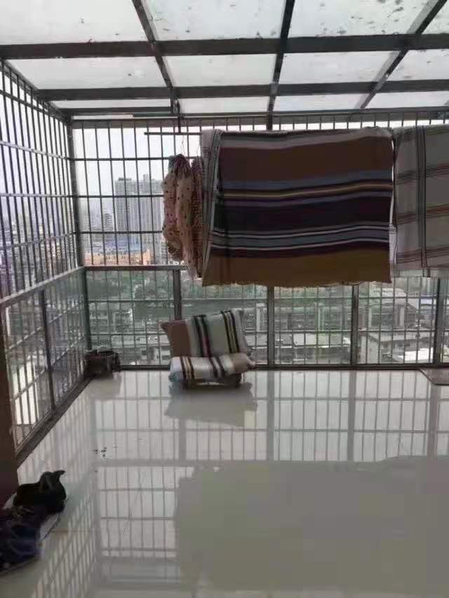 长河广场(待清理)  1室0厅1卫    1000.0元/月 长河广场(待清理)  1室0厅1卫    1000.0元/月室内图