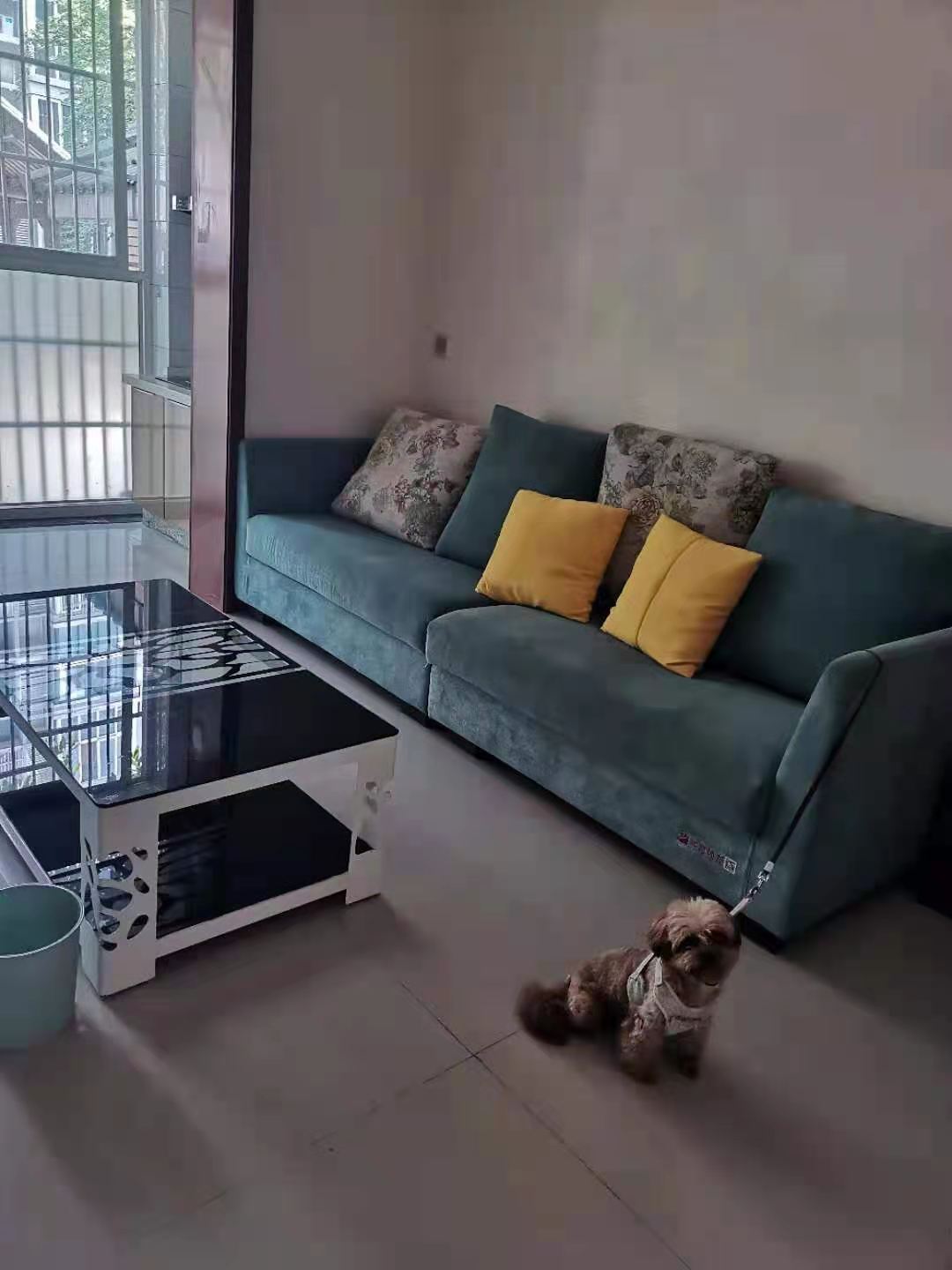 河池新居  1室1厅1卫    1500.0元/月 河池新居  1室1厅1卫    1500.0元/月