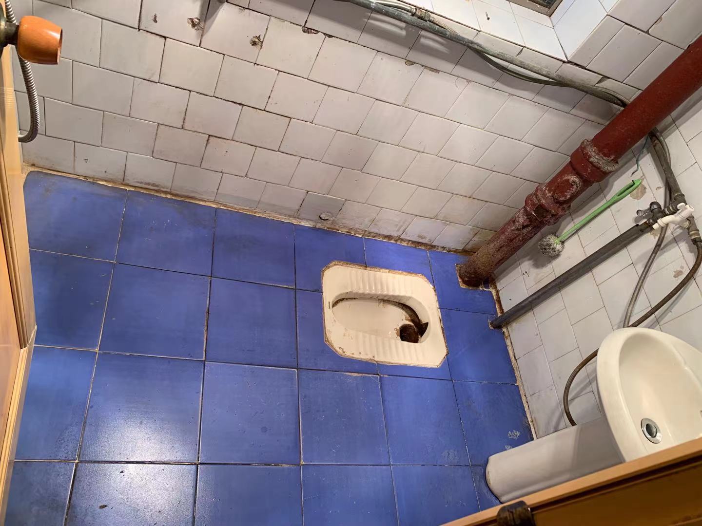 金花苑小区 3室2厅2卫 750.0元/月 金花苑小区 3室2厅2卫 750.0元/月室内图