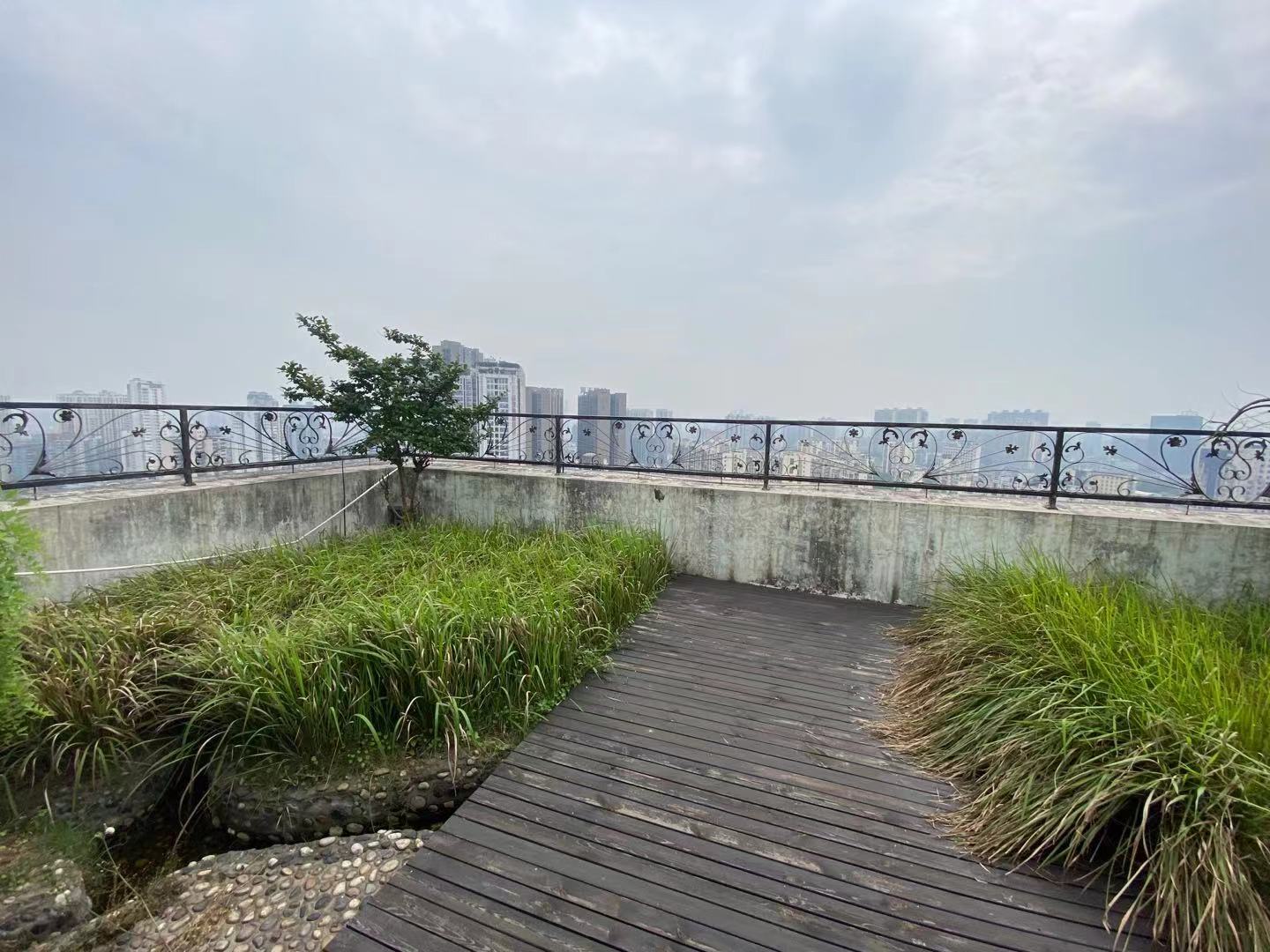 三重大厦（三重才园小区)  10室1厅1卫   17000.00元/月室内图