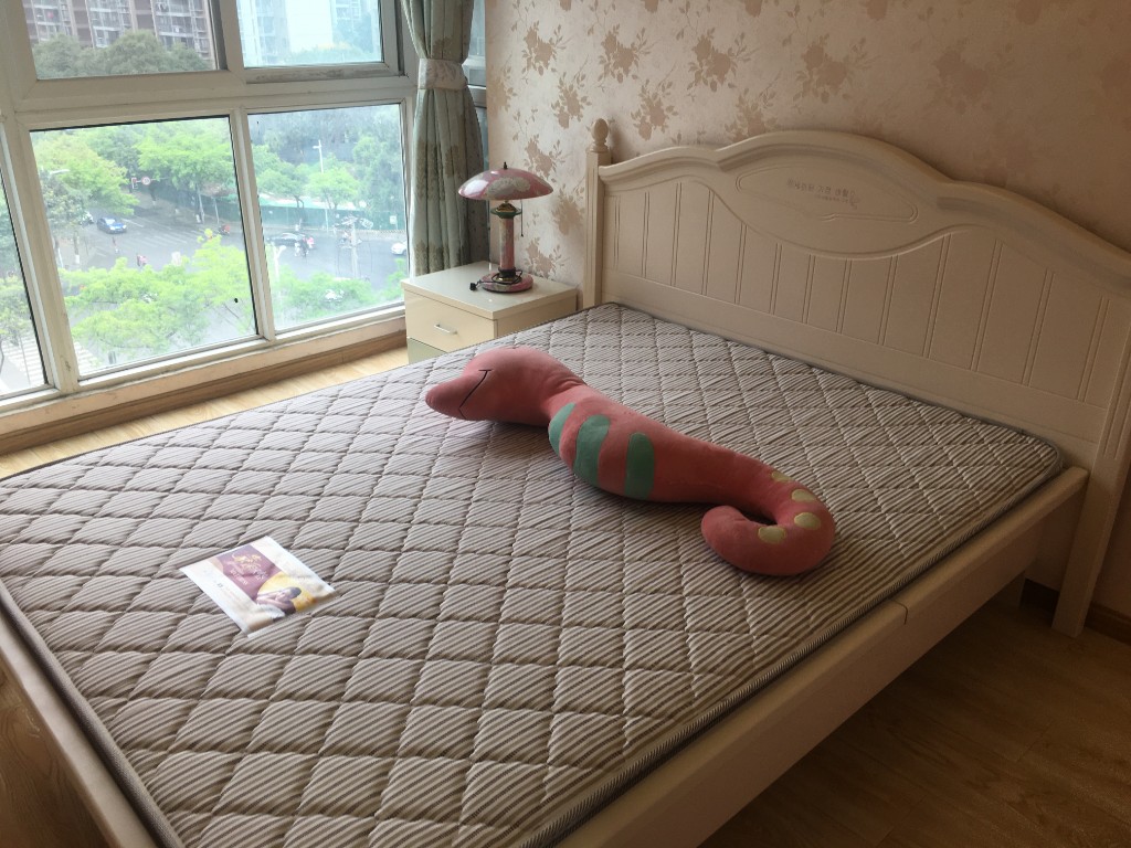 左右小区  2室1厅1卫   2000.00元/月室内图