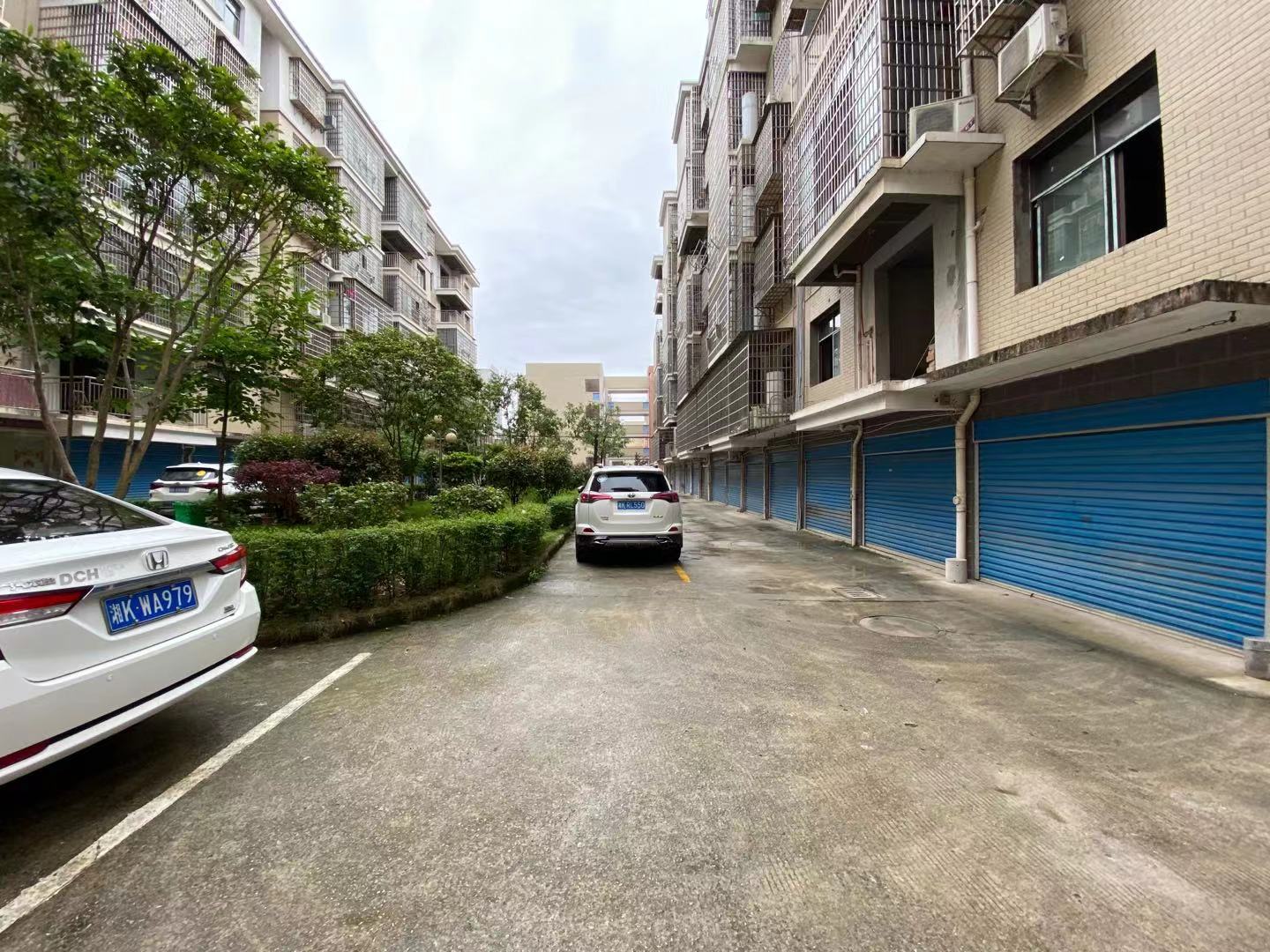 新星花园  3室2厅2卫    55.0万 新星花园  3室2厅2卫    55.0万小区图