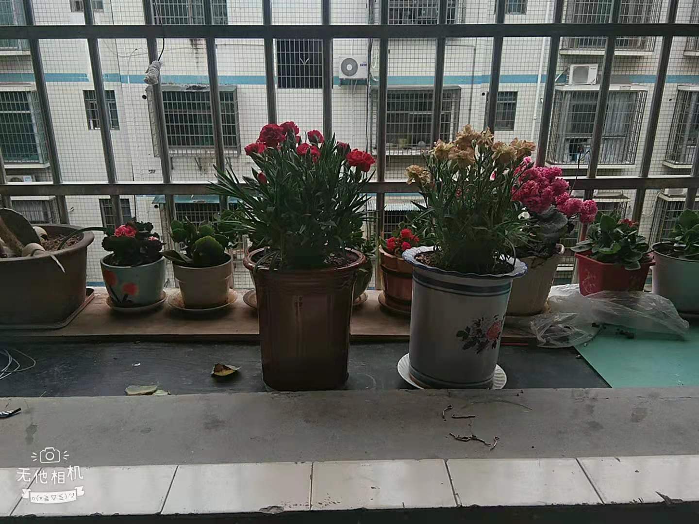 农业农机学校院内家属楼 3室2厅1卫 59.8万 农业农机学校院内家属楼 3室2厅1卫 59.8万卧室