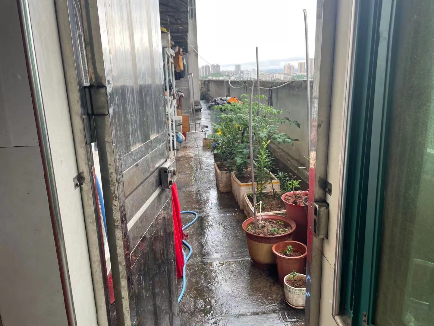 凤凰义乌城(兹丘凤凰城) 4室2厅1卫 2000.0元/月 凤凰义乌城(兹丘凤凰城) 4室2厅1卫 2000.0元/月室内图