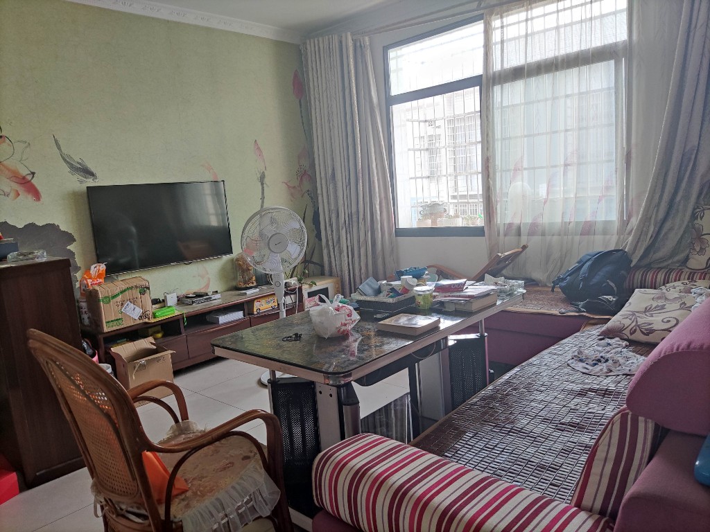 洪源小区  0室0厅0卫    55.8万客厅