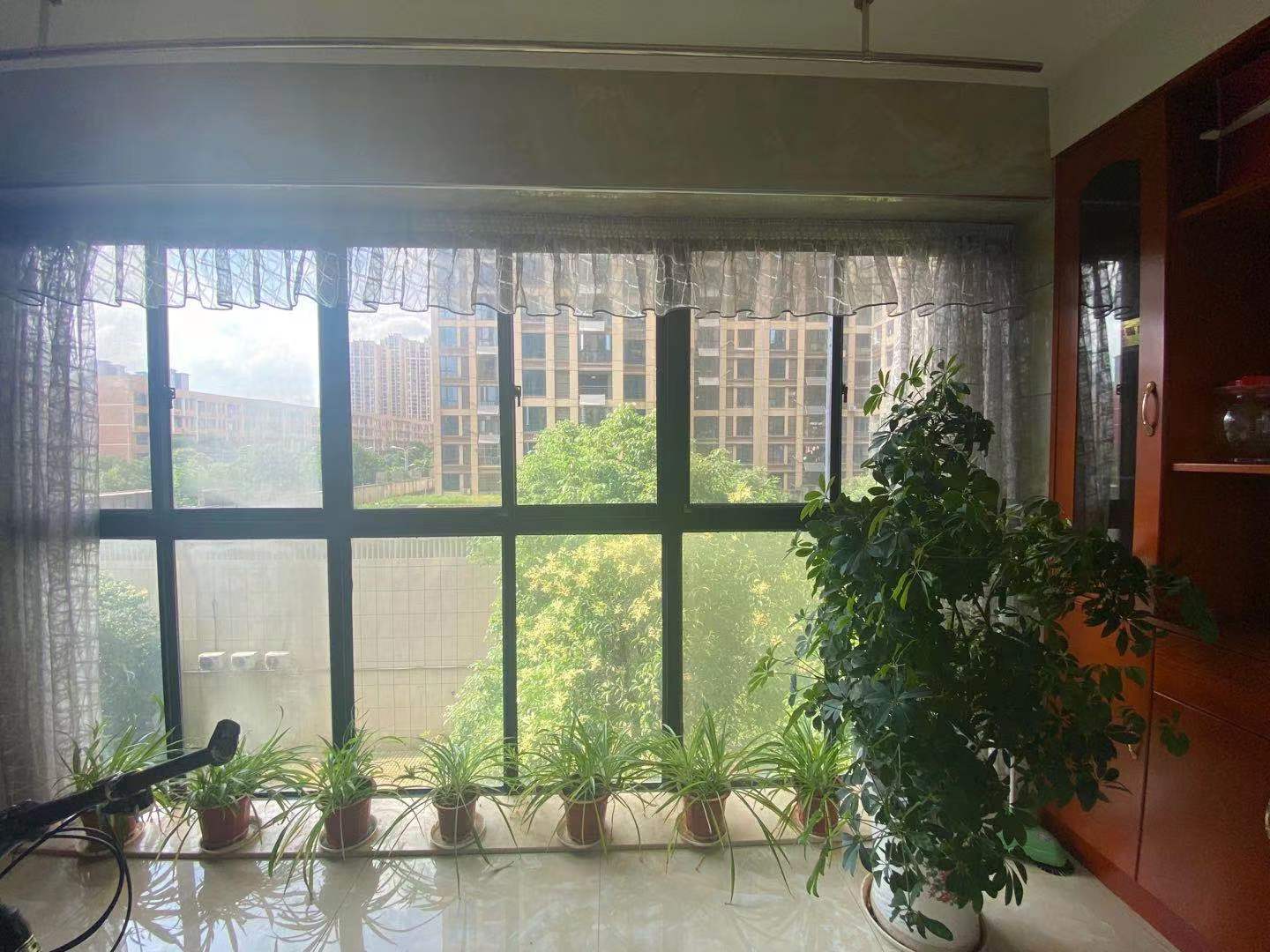 檀香山  4室2厅2卫    115.0万阳台