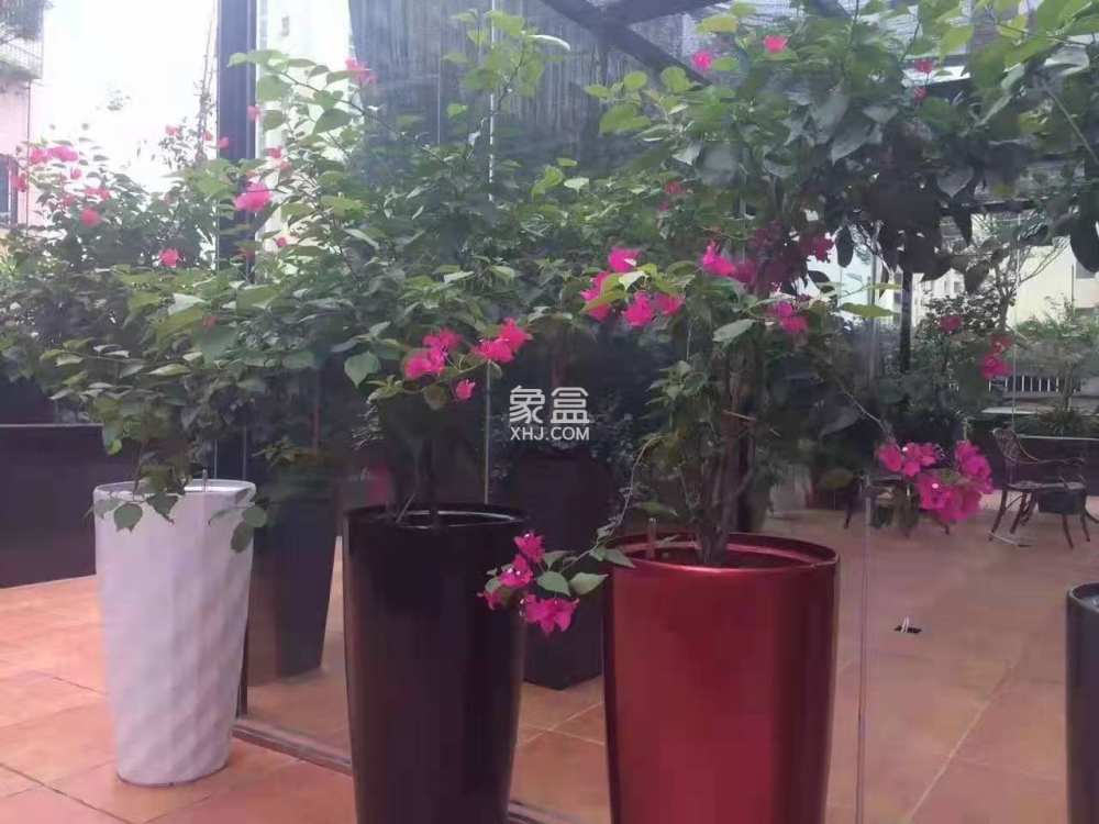莲香华庭   800.0㎡     8000.00元/月