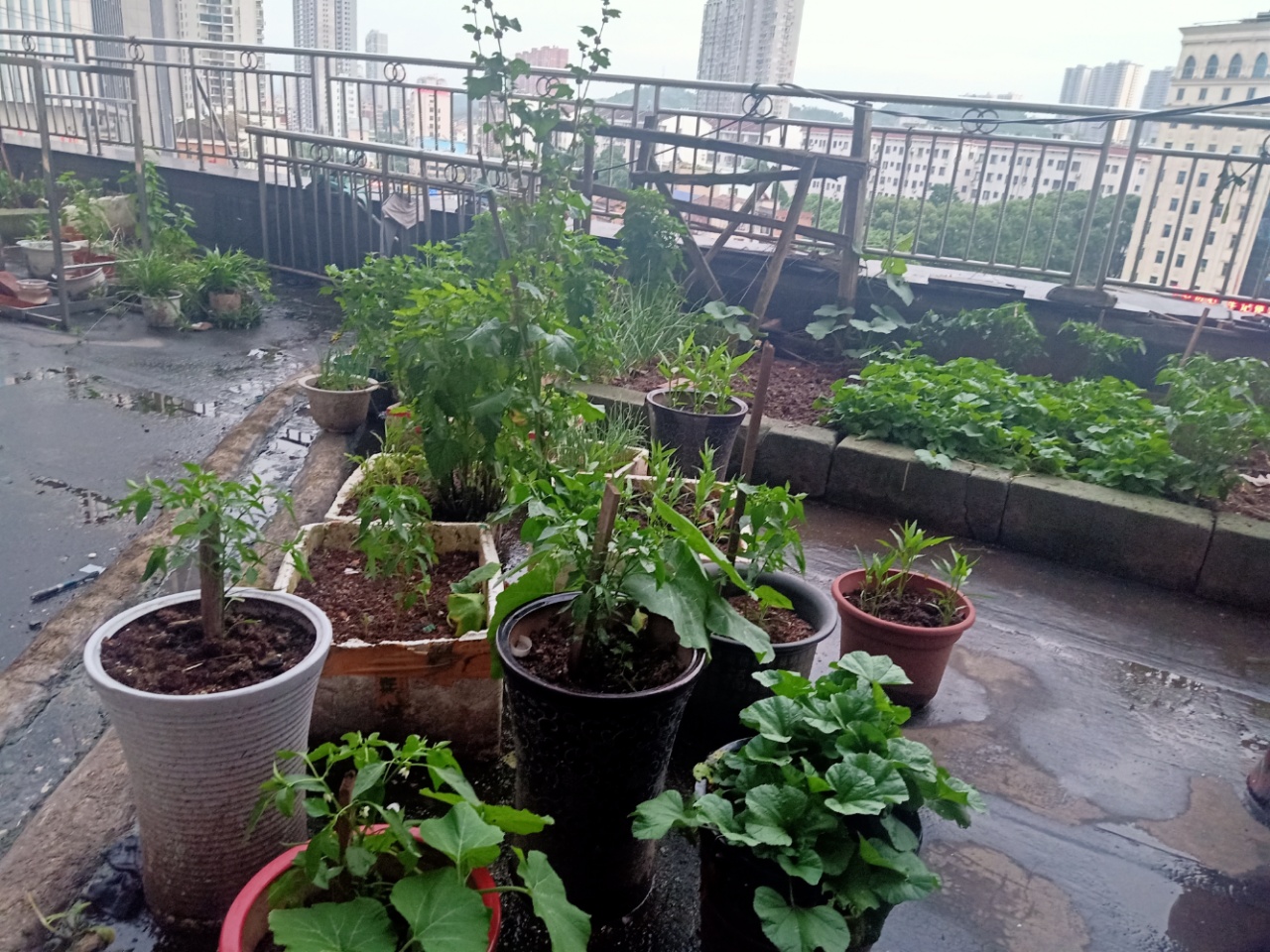 百花好望角 3室2厅2卫 85.8万 百花好望角 3室2厅2卫 85.8万户型图