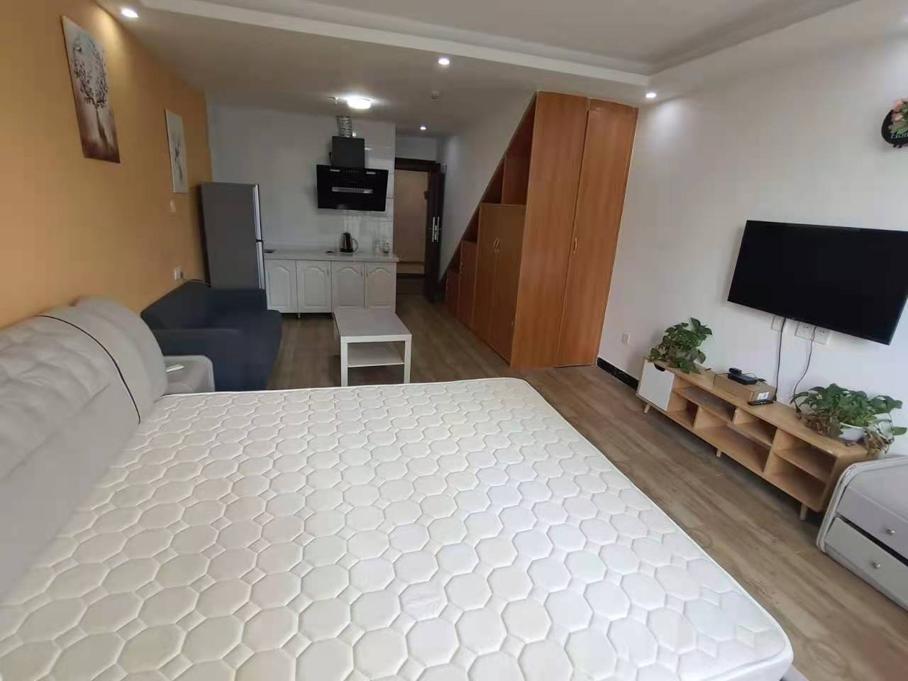 贵阳富力中心  1室1厅1卫   1800.00元/月室内图