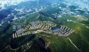 南山天岳