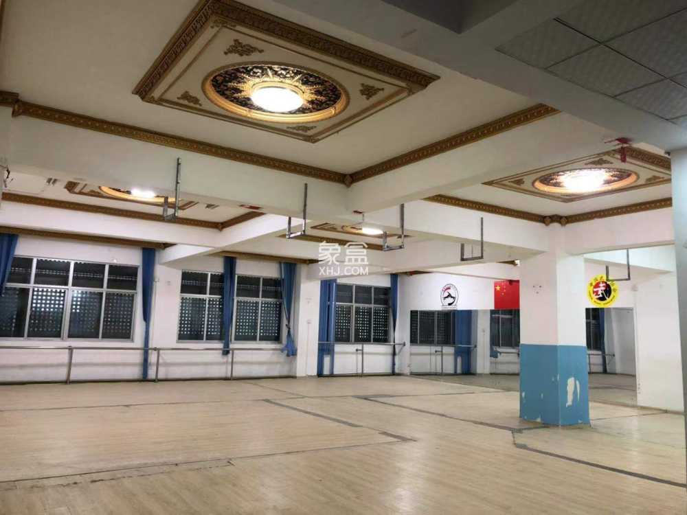 金座   226.0㎡      6800.0元/月室内图