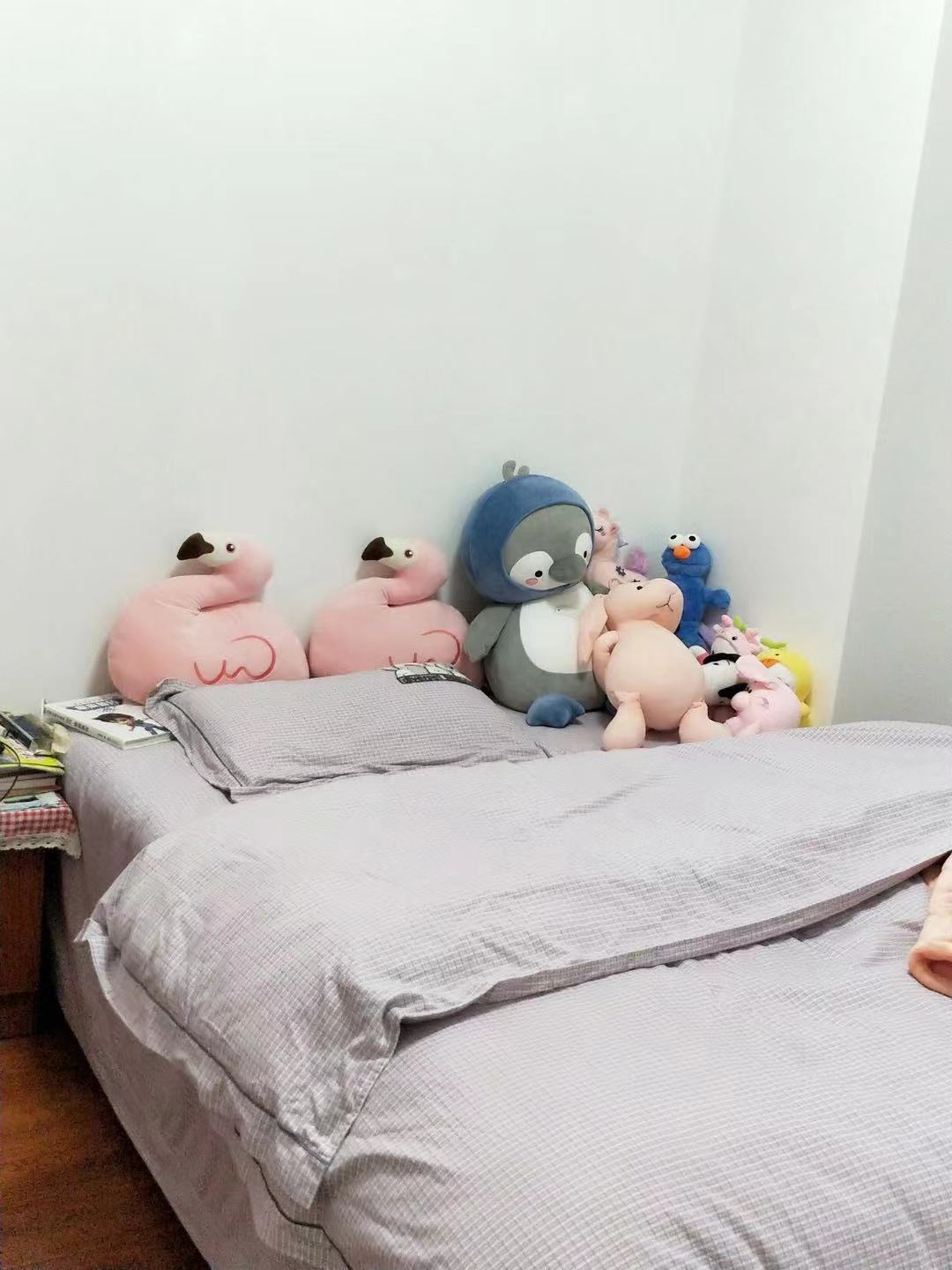 恒隆国际 2室1厅1卫 1800.0元/月 恒隆国际 2室1厅1卫 1800.0元/月室内图