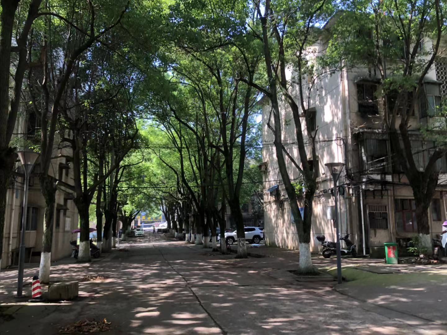 农业农机学校院内家属楼 3室1厅1卫 32.0万 农业农机学校院内家属楼 3室1厅1卫 32.0万小区图