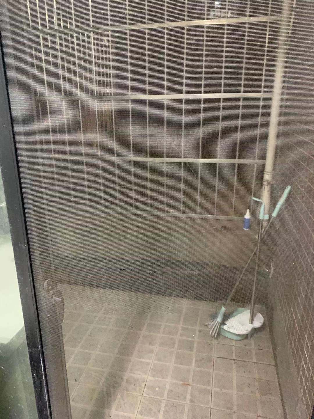 碧桂园公园壹号（凯怡茗苑）  3室2厅2卫    1800.0元/月室内图