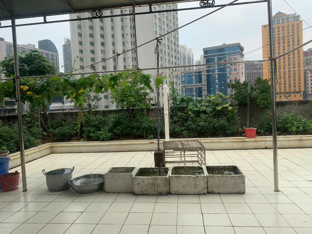 江南商城 5室2厅3卫 3000.0元/月 江南商城 5室2厅3卫 3000.0元/月户型图