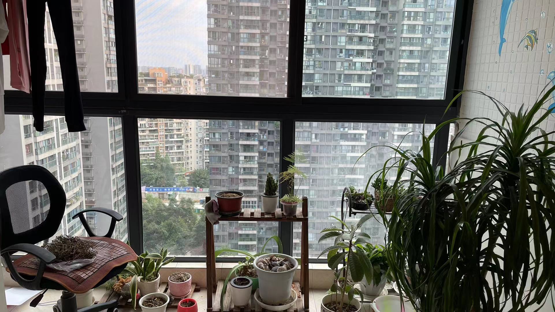 中铁丶西子香荷  3室2厅2卫    4000.0元/月 中铁丶西子香荷  3室2厅2卫    4000.0元/月室内图