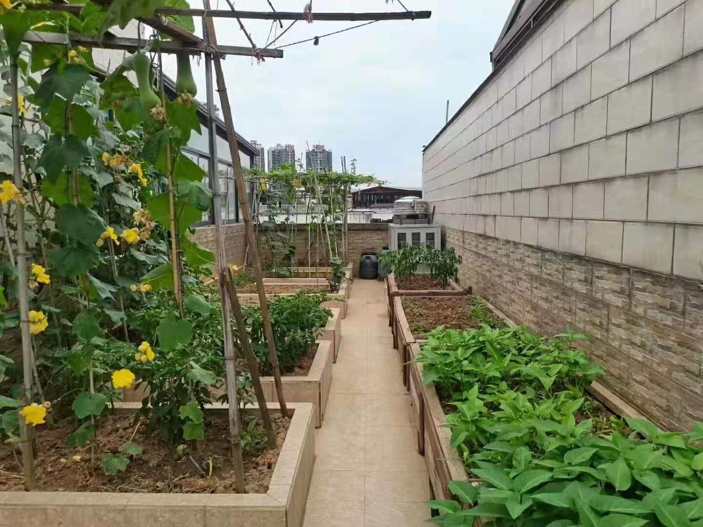 岳塘村 1室1厅1卫 500.0元/月 岳塘村 1室1厅1卫 500.0元/月小区图