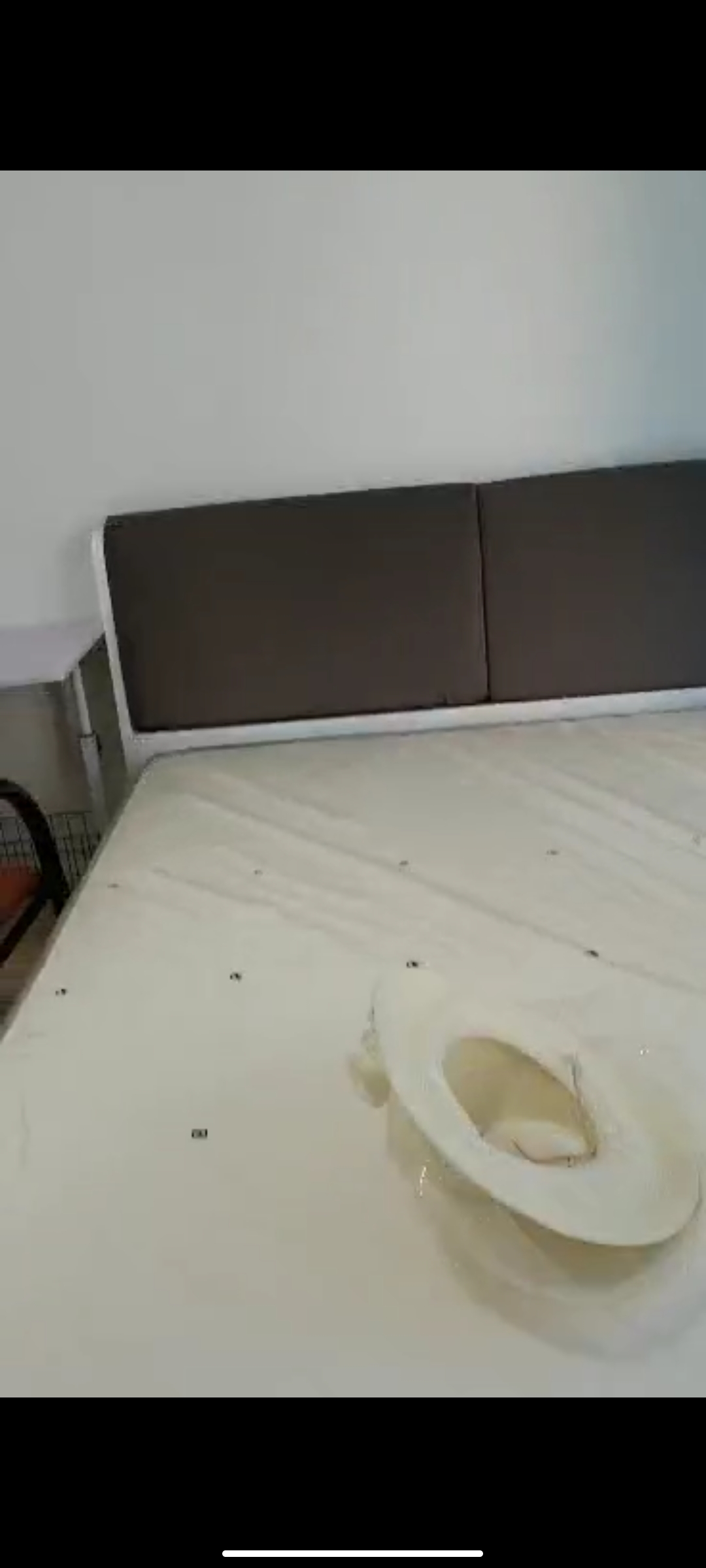 富川CEO大厦  1室1厅1卫    2000.0元/月 富川CEO大厦  1室1厅1卫    2000.0元/月室内图