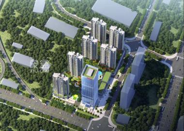 东方红梅溪枫林