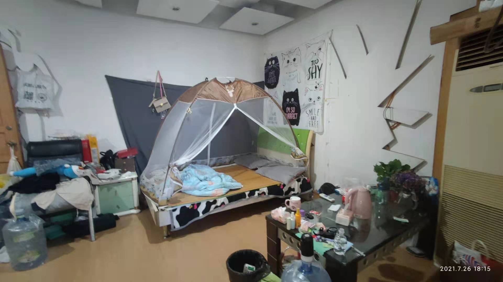 西牌楼社区  2室1厅1卫    2500.0元/月室内图