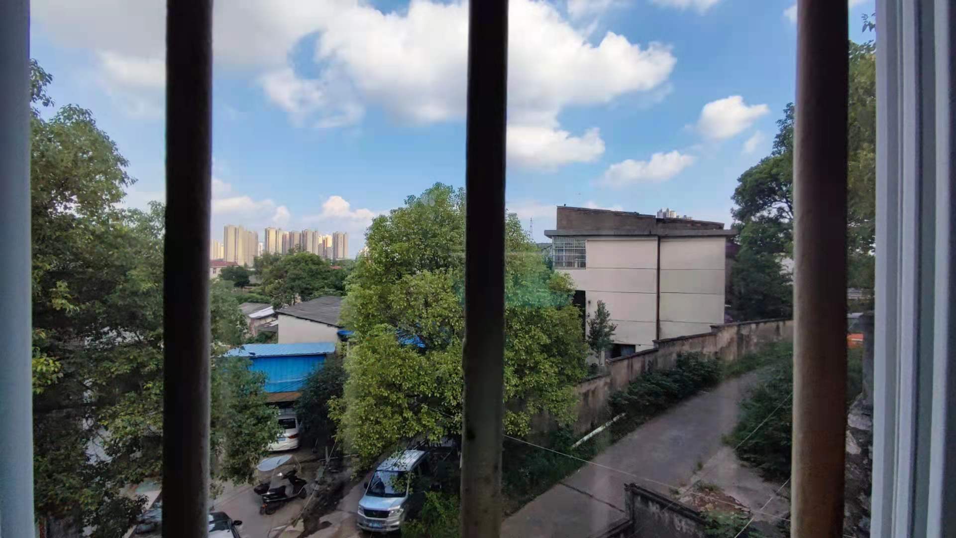 龙头铺镇双丰村  1室1厅1卫   800.00元/月室内图