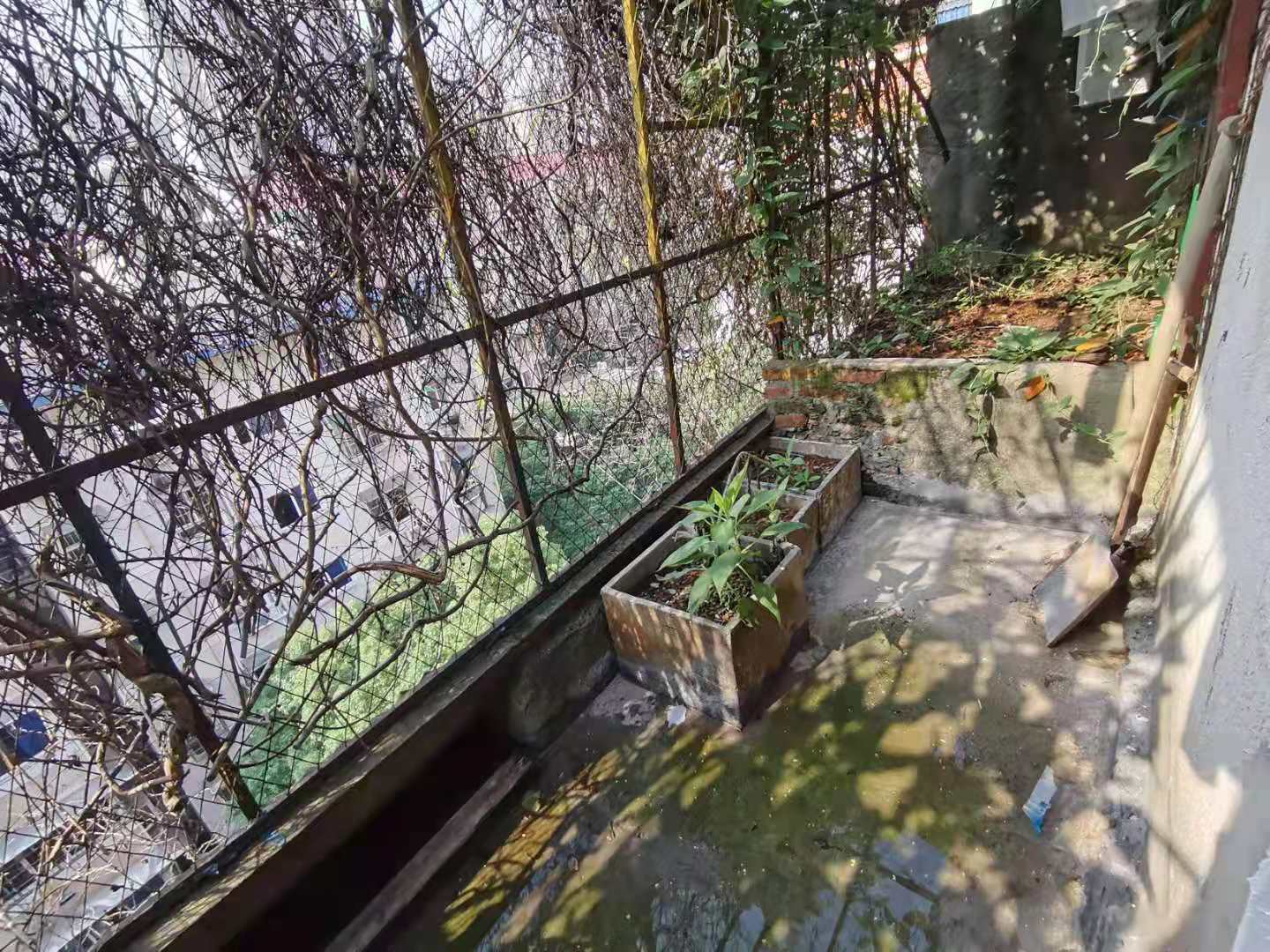 广厦新村  2室2厅1卫    1600.0元/月室内图