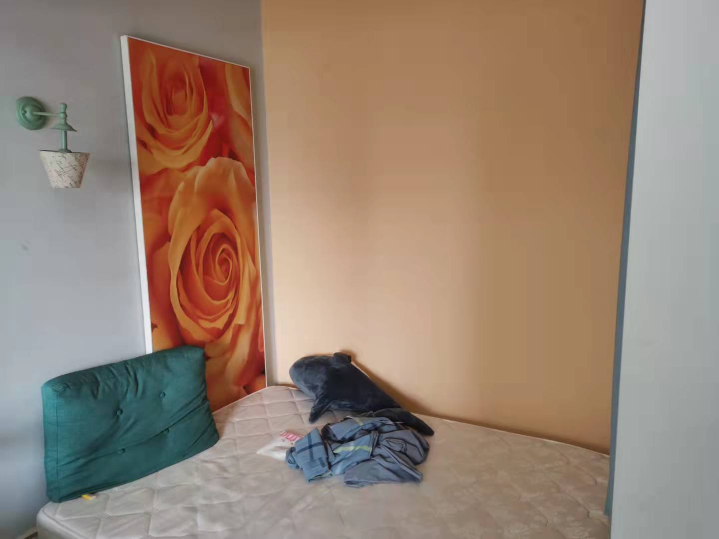 当代滨江MOMA 1室1厅1卫 1800.0元/月 当代滨江MOMA 1室1厅1卫 1800.0元/月室内图