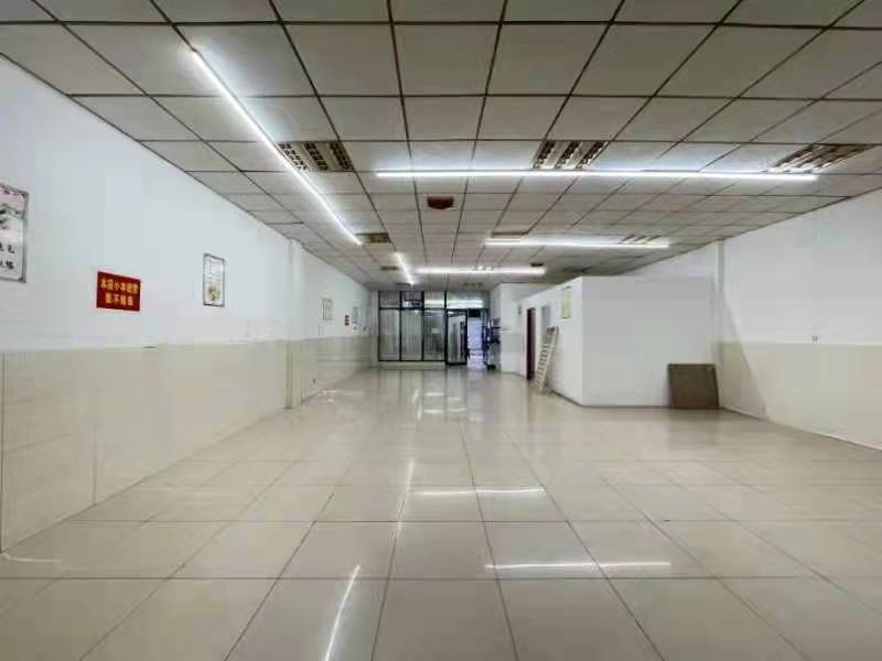 勤诚达新界  1室1厅1卫    8000.0元/月室内图