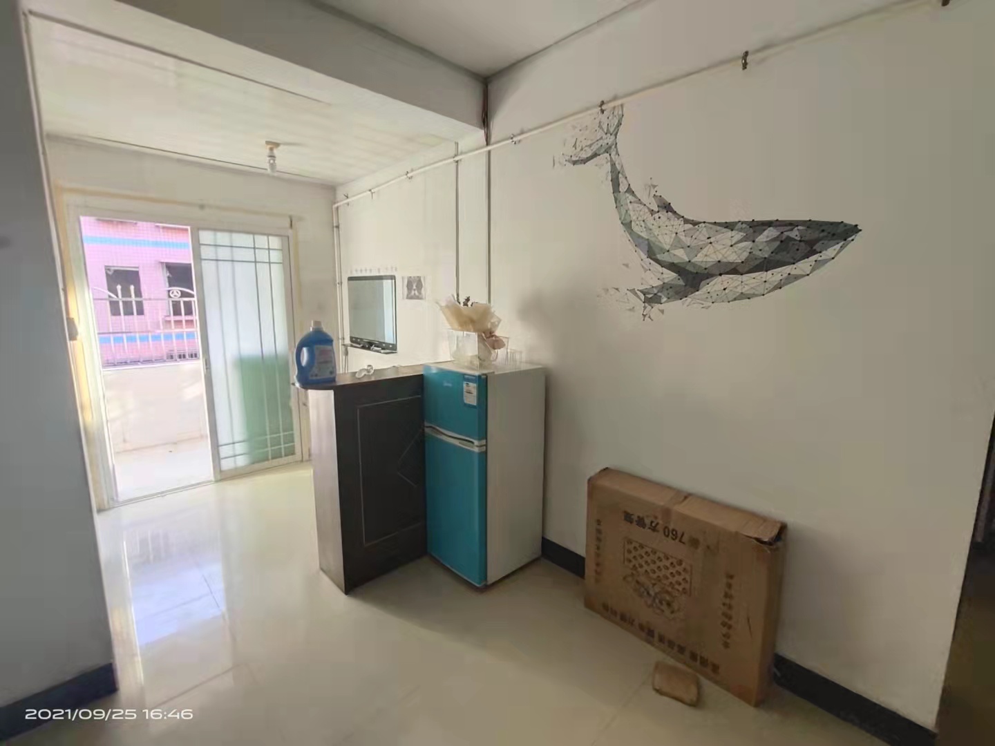 金塘小区  1室1厅1卫    900.0元/月 金塘小区  1室1厅1卫    900.0元/月室内图